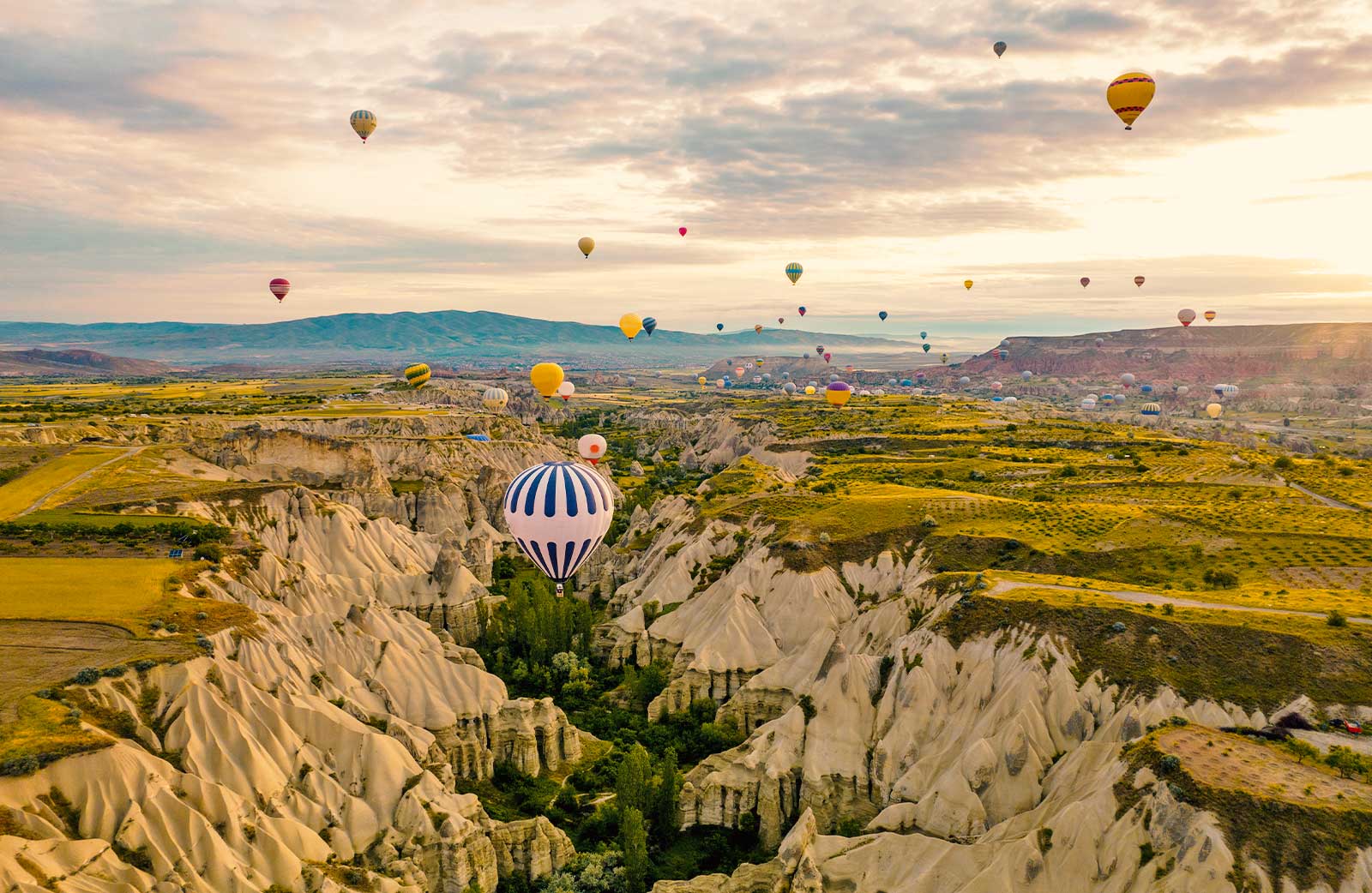 Cappadocia Valley and Hot Air Balloons Sunrise View