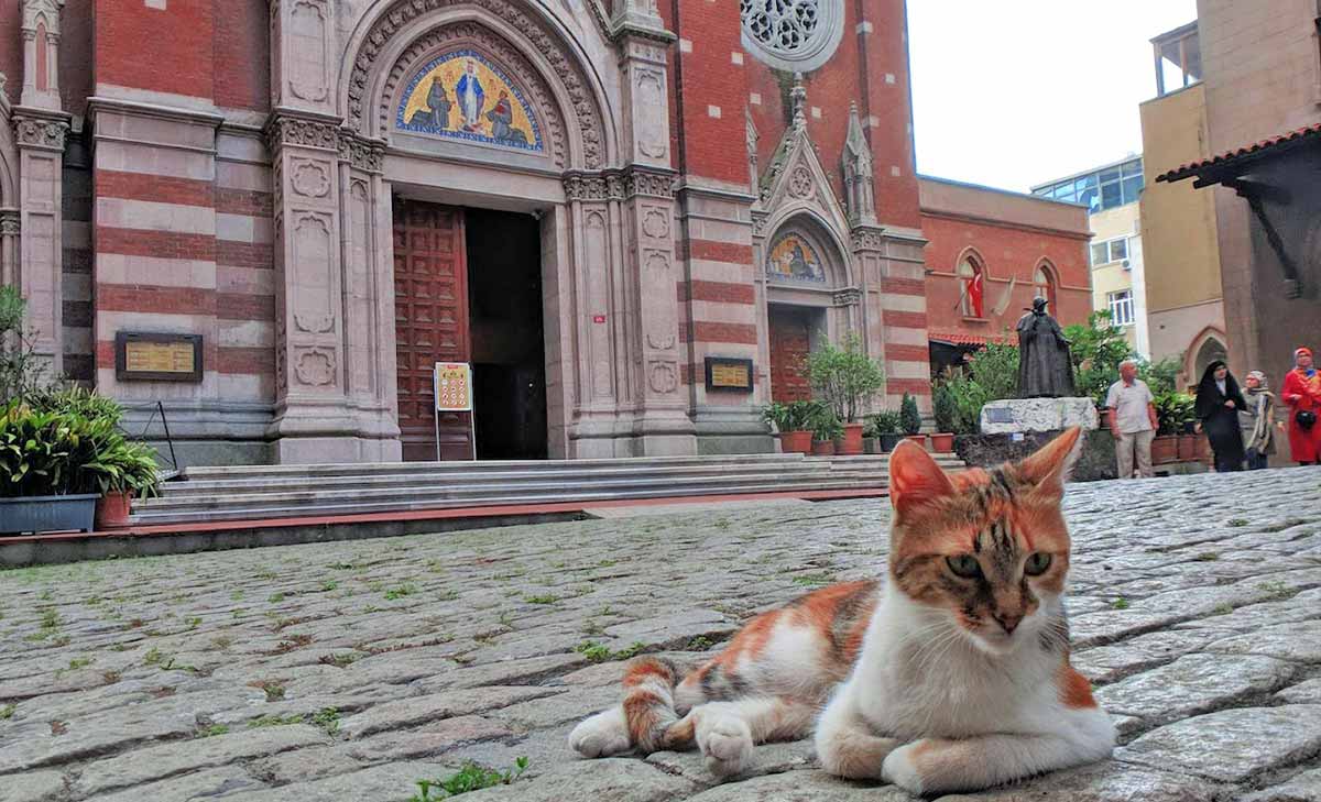 Cat and St. Antuan Church