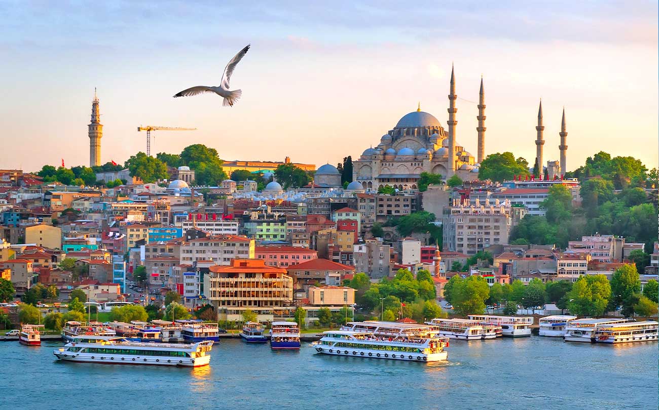 Golden Horn, Mosque and Ferry View