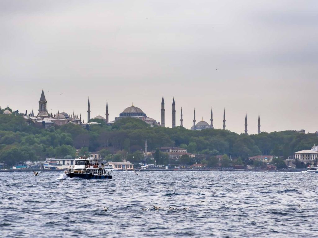 Half-Day Istanbul Private Food Tour - Bosphorus View (2)