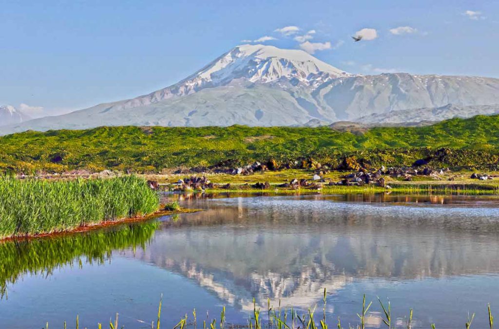 Igdir Ararat Mount View