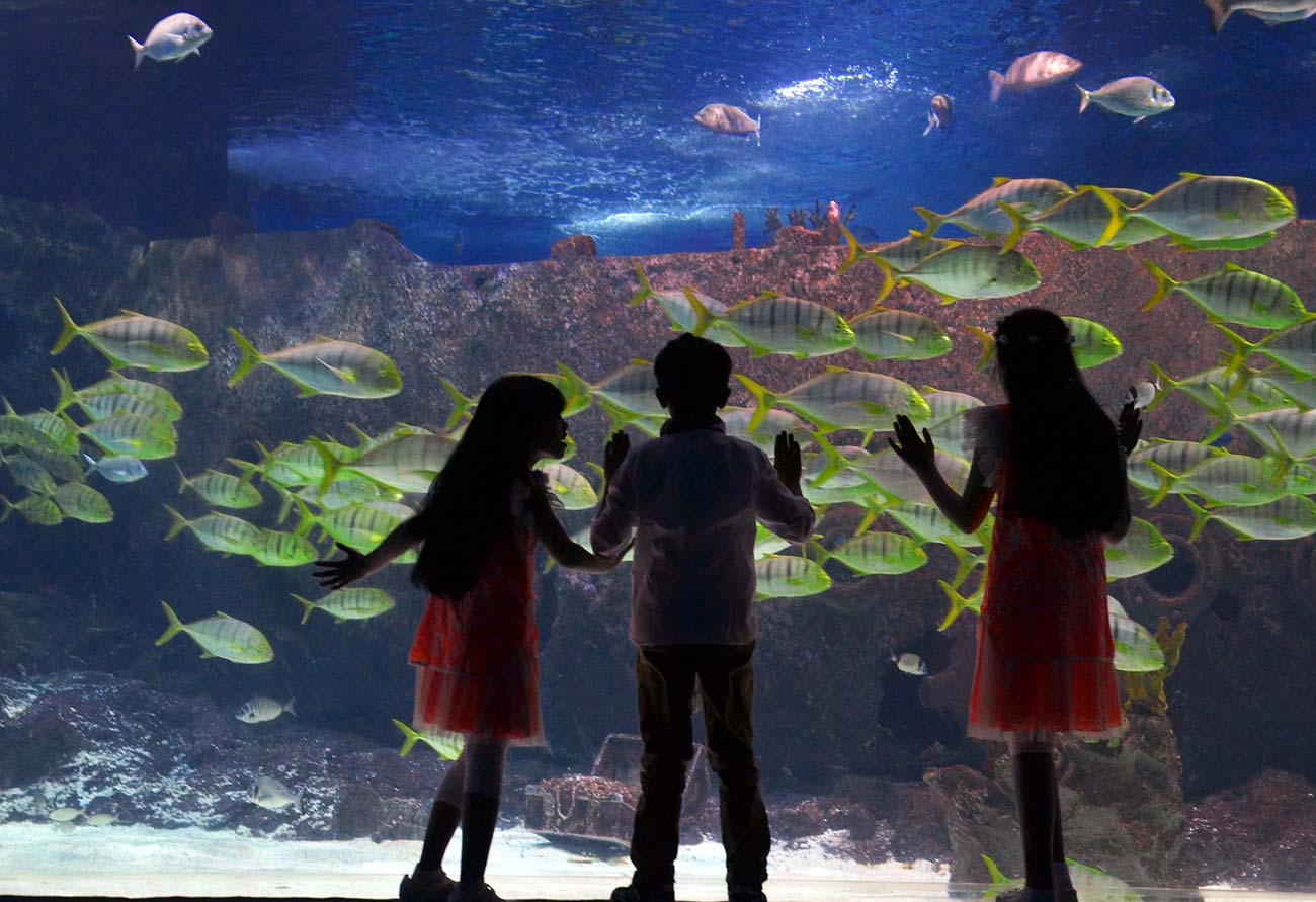 Istanbul Aquarium