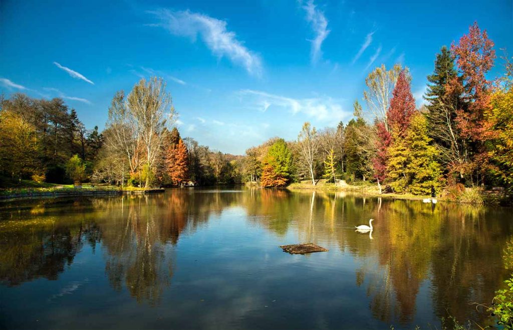 Istanbul Ataturk Arboretum Park Autumn