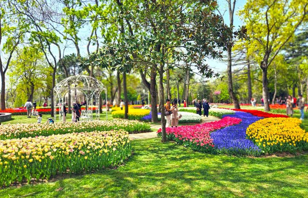 Istanbul Sariyer Emirgan Park Spring