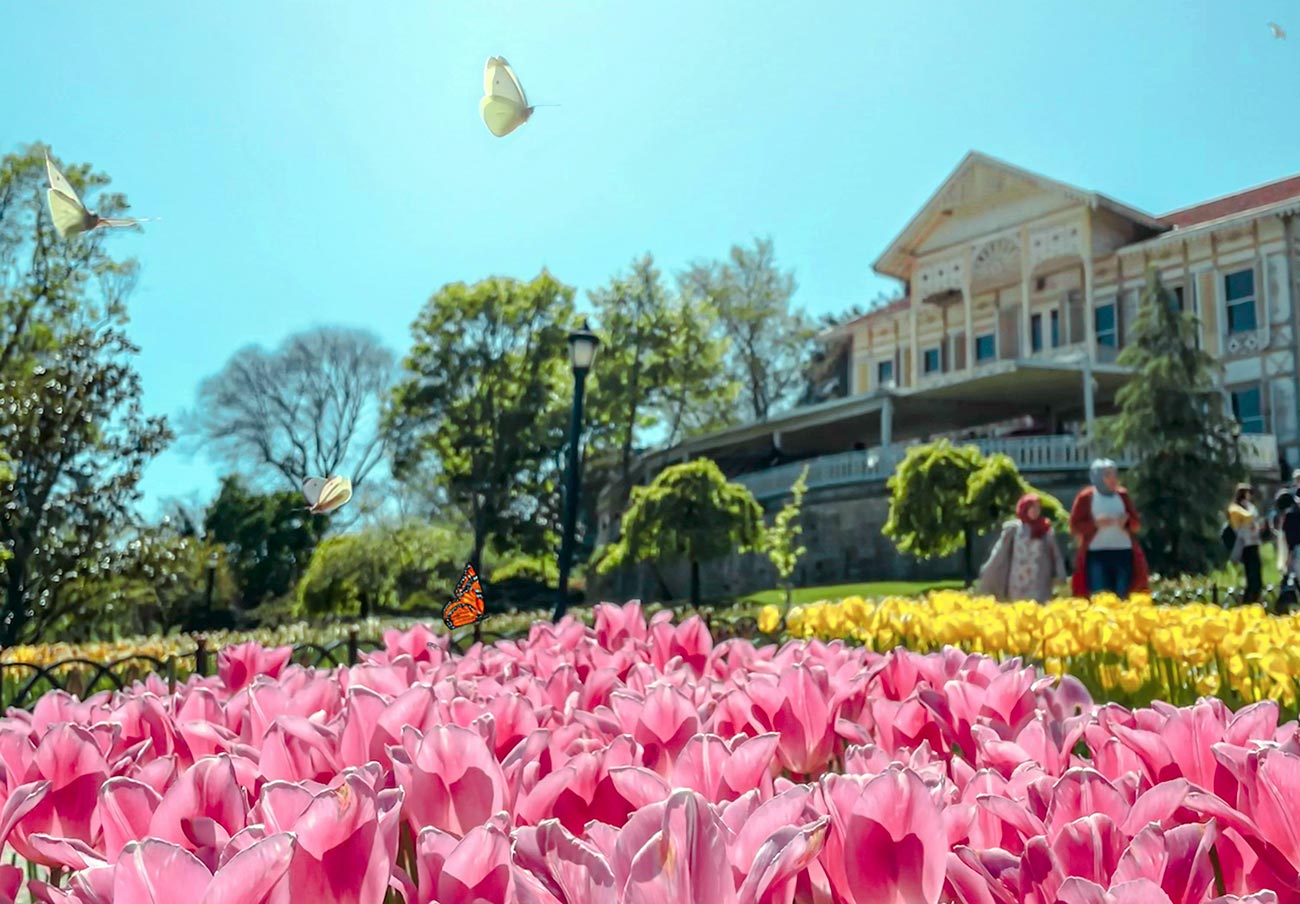 Istanbul Tulip Festival