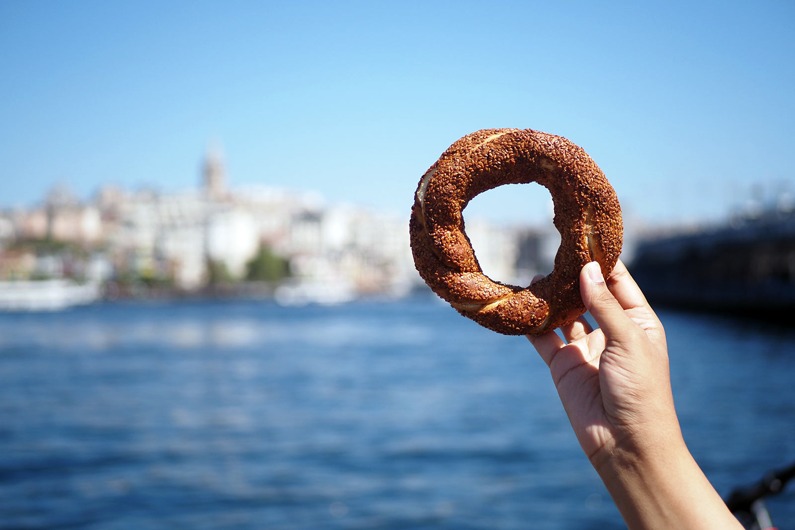 Istanbul and Street Food Simit