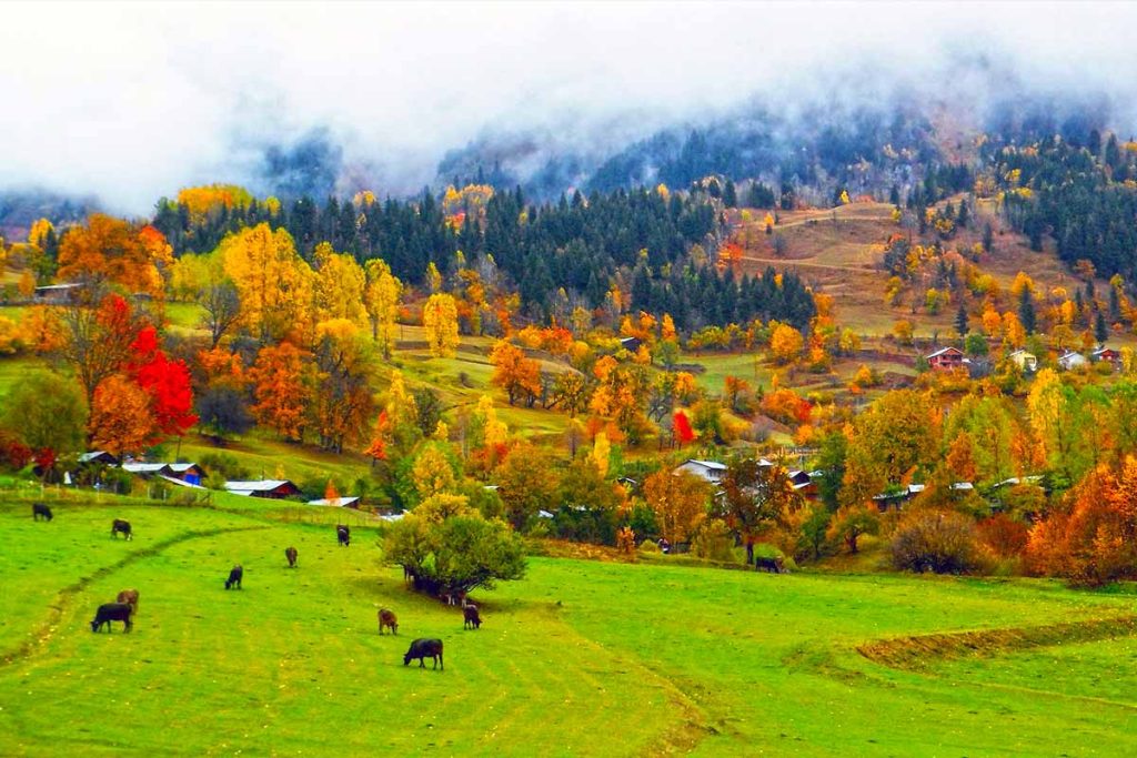 Turkey Blacksea Artvin Autumn