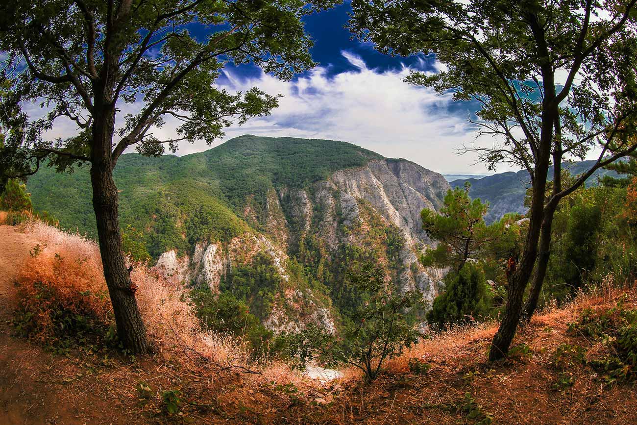 Turkey Wildlife Kaz Nountains