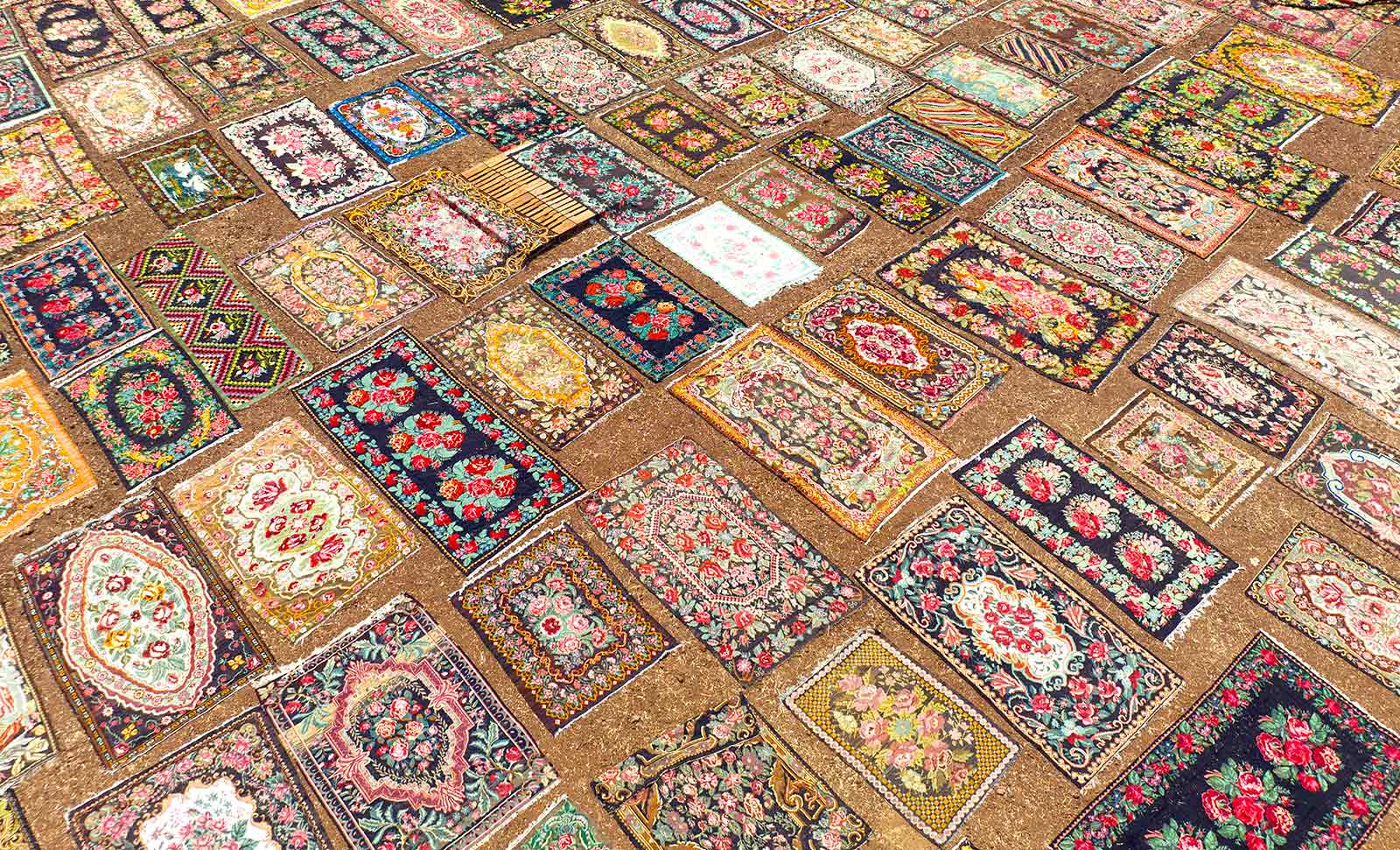 Turkish Carpet Fields in the Summer Season View