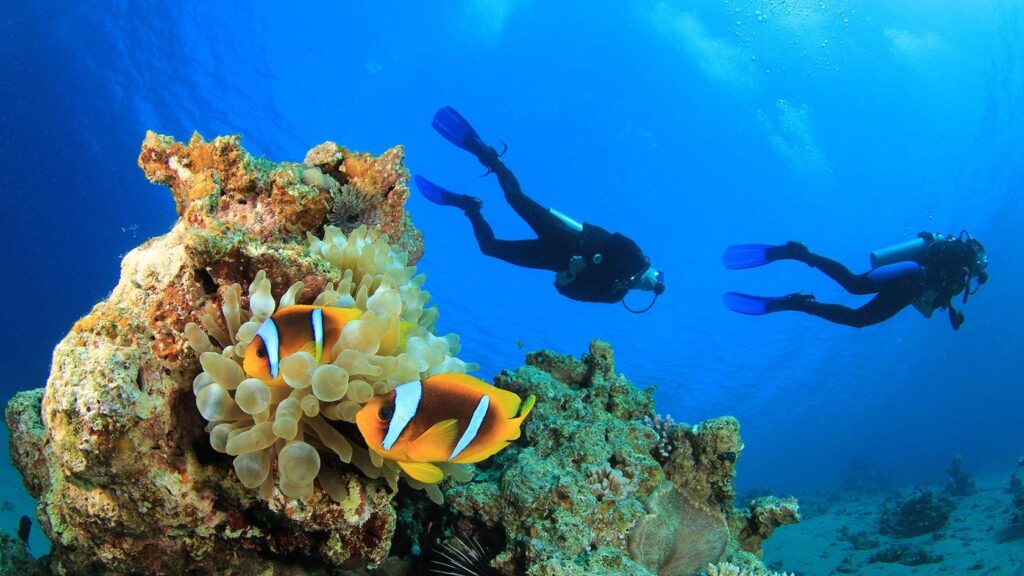 The Best Diving Sites in Turkey - Guided Istanbul Tours